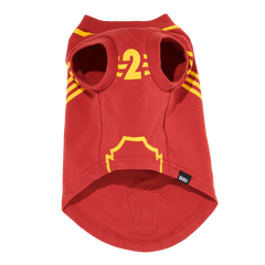Quidditch™ Jersey