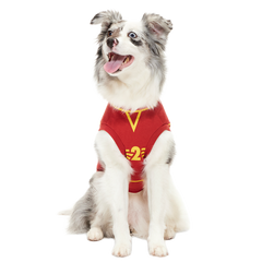 Quidditch™ Jersey