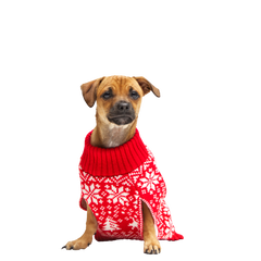 Holiday Sweater Wearable For Dogs