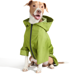 The Dry Dog Raincoat