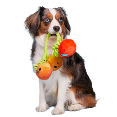 Hairloom Tomatoes Plush Tug Dog Toy