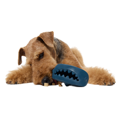 Hammer Fed Shark Super Chewer Durable Enrichment Dog Toy