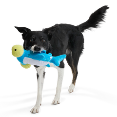Hammerin' Hank the Shark Plush Tug Dog Toy