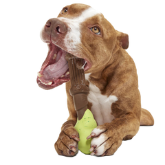 Harry's Bogey™ Wand Super Chewer Durable Gnaw Dog Toy