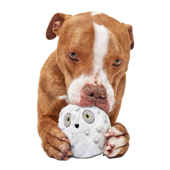 Hedwig™ the Owl Super Chewer Durable 2-in-1 + Fetch Dog Toy