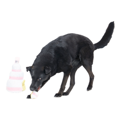 Holy Ratrimony Plush Multi-Part + Enrichment Dog Toy
