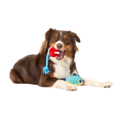 Hook Line and Squeaker Plush Multi-Part + Tug Dog Toy