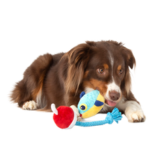 Hook Line and Squeaker Plush Multi-Part + Tug Dog Toy