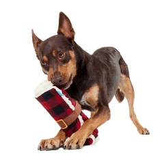 Blanket + Chompfire Bundle Super Chewer Durable Gnaw + Enrichment Dog Toy