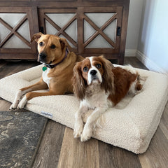 Bouclé Orthopedic Memory Foam Bed