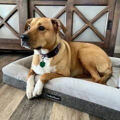 Orthopedic Memory Foam Bed