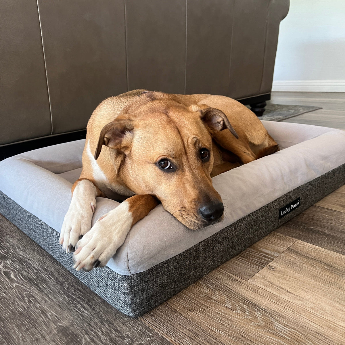 Orthopedic Memory Foam Bed