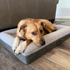 Orthopedic Memory Foam Bed