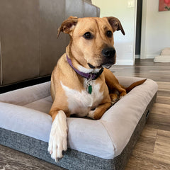Orthopedic Memory Foam Bed