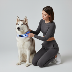 Milou & Lumi LED Glowing Pet Collar - Rainbow