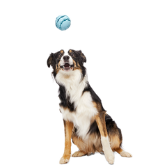 Jawball Super Chewer Durable Fetch + Enrichment Dog Toy
