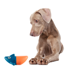 Jump the Shark Super Chewer Durable Fetch Dog Toy