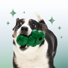 Crystal of the Month Club, Super Chewer Durable Monthly Dog Toys