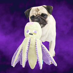 Undead Ollie The Octopus Club