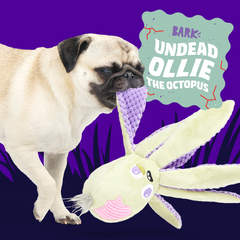 Undead Ollie The Octopus Club