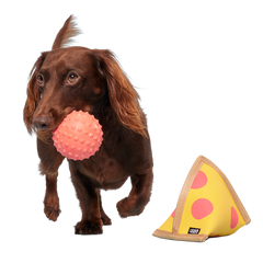 Lil Squeaker's Pizza Super Chewer Durable 2-in-1 Fetch Dog Toy