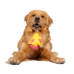 Lil Squeaker's Pizza Super Chewer Durable 2-in-1 Fetch Dog Toy