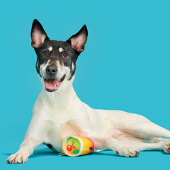 Mai Toy Super Chewer Durable 2-in-1 + Enrichment Dog Toy