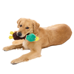 Mal R. Duck Plush Tug Dog Toy