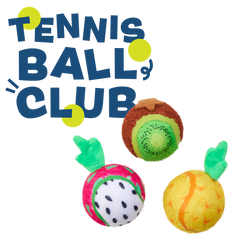 Tennis Ball Club, 3 Squeaky Monthly Tennis Ball Dog Toys