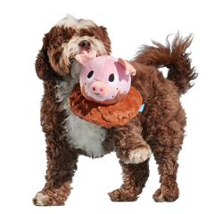 Muddy Maude Plush Fetch Dog Toy