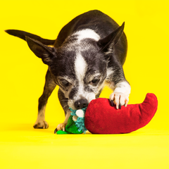 Muy Caliente Jalapeno Plush Tug Dog Toy