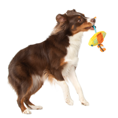 Off Track Kayak Plush Tug Dog Toy