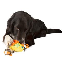 Off Track Kayak Plush Tug Dog Toy