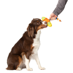 Off Track Kayak Plush Tug Dog Toy