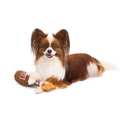 Old Fashioned Sploot Beer Plush Tug Dog Toy