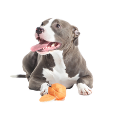 Orange Crush Super Chewer Durable 2-in-1 + Fetch Dog Toy