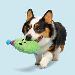 Party Pickle Pedro Tug Dog Toy