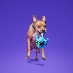 Phantom Shadows™ Super Chewer Durable 2-in-1 + Enrichment Dog Toy