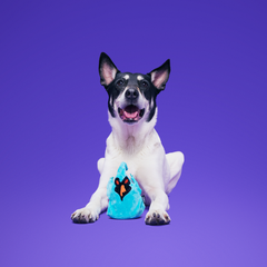 Phantom Shadows™ Super Chewer Durable 2-in-1 + Enrichment Dog Toy