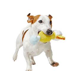 Cocktail Club, Plush Cocktail Monthly Dog Toys