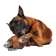 Plaidamoose Super Chewer Durable 2-in-1 + Fetch Dog Toy