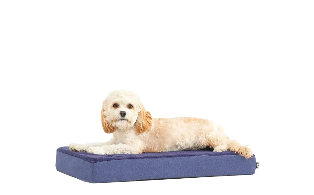 Dog Bed