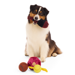 Quidditch™ Equipment Pack Plush Multi-Part + Tennis Ball Fetch Dog Toy