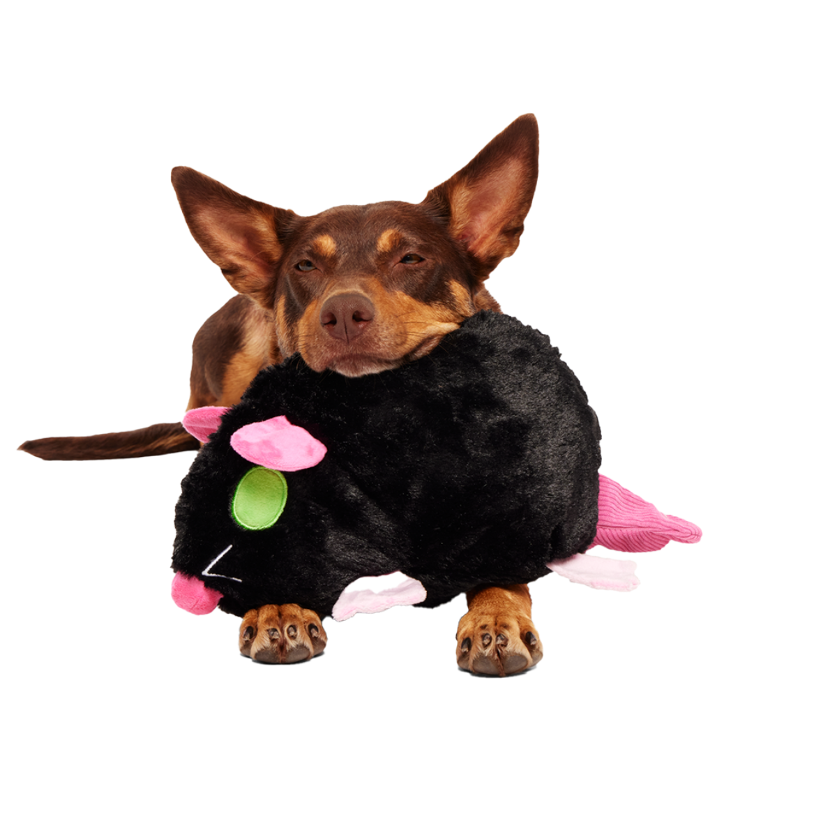 Rat-A-Chewy Plush Extra-Large + 2-in-1 Rip and Reveal Dog Toy