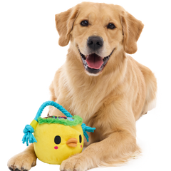 Chicky's Easter Candy Plush Tug Dog Toy