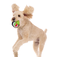 Sushi Roller Super Chewer Durable 2-in-1 + Fetch Dog Toy