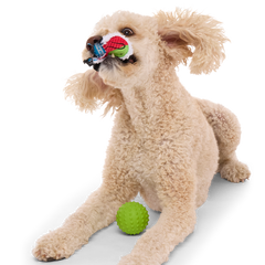 Sushi Roller Super Chewer Durable 2-in-1 + Fetch Dog Toy