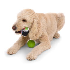 Sushi Roller Super Chewer Durable 2-in-1 + Fetch Dog Toy