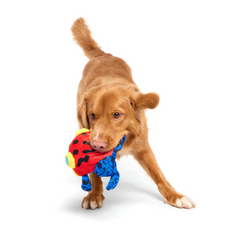Freckles The Frog Plush 2-In-1 Rip And Reveal Dog Toy