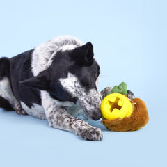 Fowl Play Durable Super Chewer 2-In-1 Rip And Reveal + Enrichment Dog Toy